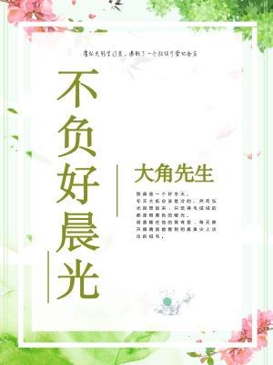 不负好晨光封面