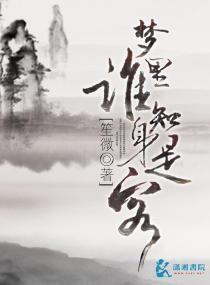 梦里谁知身是客封面