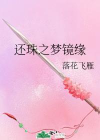 还珠之梦镜缘封面