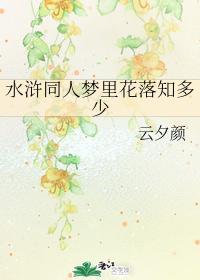 水浒同人梦里花落知多少封面