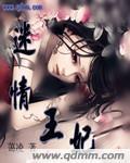 迷情王妃封面