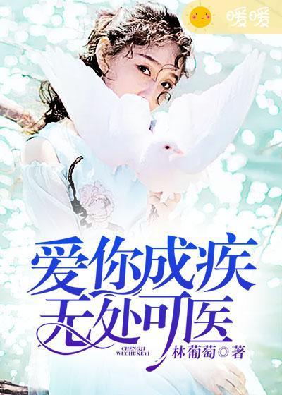 爱你成疾，无处可医封面