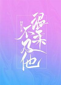 温柔不及他封面