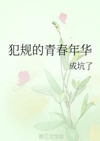 犯规的青春年华封面