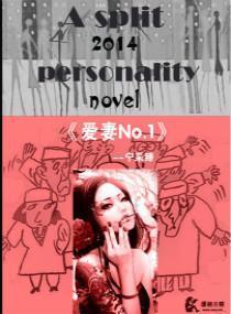 爱妻NO.1封面