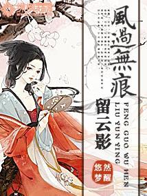 风过无痕留云影封面