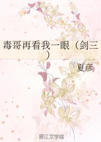 毒哥再看我一眼（剑三）封面
