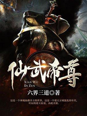 叶辰仙武帝尊封面