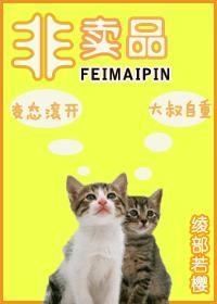 非卖品封面