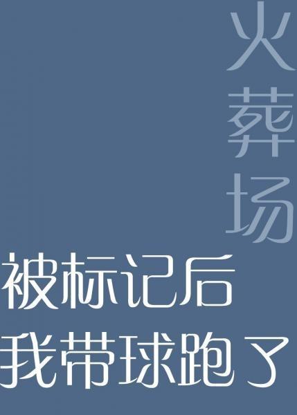 被标记后我带球跑了封面