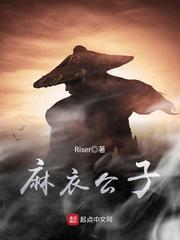麻衣公子封面
