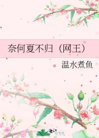 奈何夏不归（网王）封面