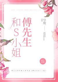 傅先生和S小姐封面