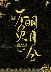 不负明月兮封面