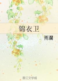 锦衣卫封面