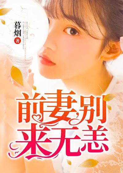 前妻，别来无恙封面