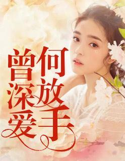 曾深爱，何放手封面
