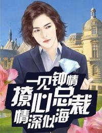 一见钟情：撩心总裁情深似海封面