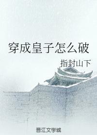 穿成皇子怎么破封面