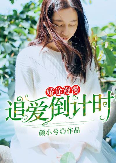 婚途漫漫：追爱倒计时封面