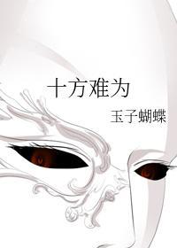 十方难为封面