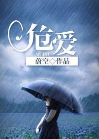 危爱封面