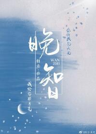 晚智封面
