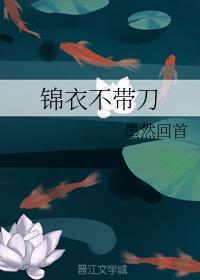 锦衣不带刀封面