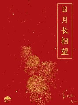 日月长相望封面