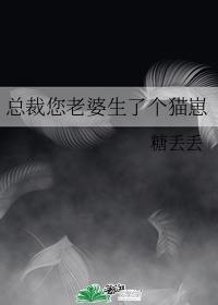 总裁您老婆生了个猫崽封面
