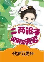 二两银子买来的夫君封面