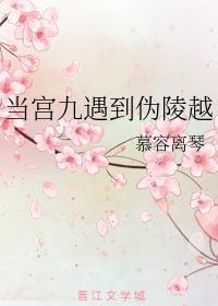 当宫九遇到伪陵越封面