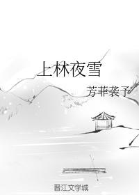 上林夜雪封面