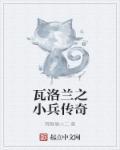 瓦洛兰之小兵传奇封面