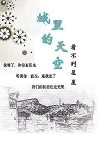 城里的天空看不到星星封面