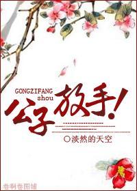 公子放手封面