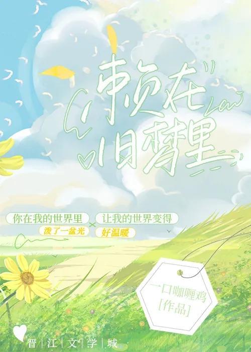 赖在旧梦里封面