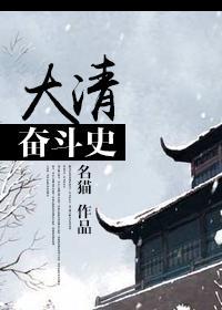 大清奋斗史封面