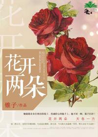 花开两朵封面