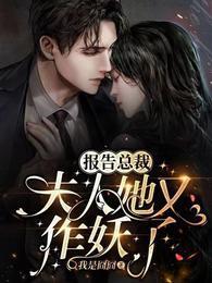 报告总裁：夫人她又作妖了封面