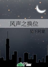 风声之换位封面