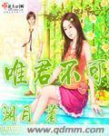 唯君不可封面