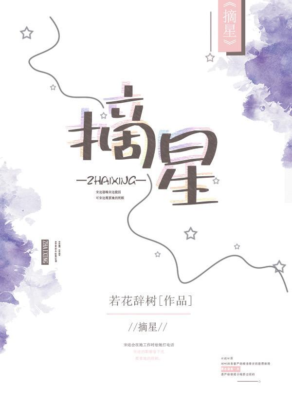 摘星封面