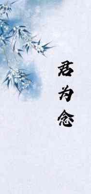 君为念封面