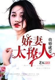 将婚就爱：娇妻太撩人封面