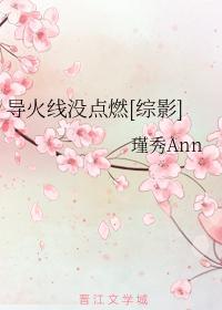 导火线没点燃[综影]封面