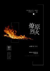 燎原烈火封面