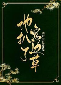 他扒了窝边草封面