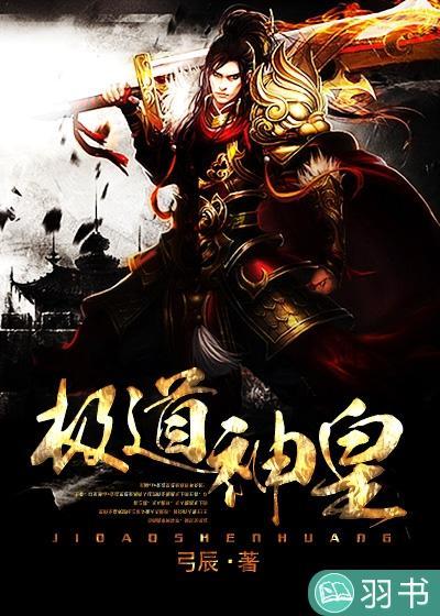 极道神皇封面