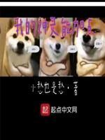 我的神灵能加点封面